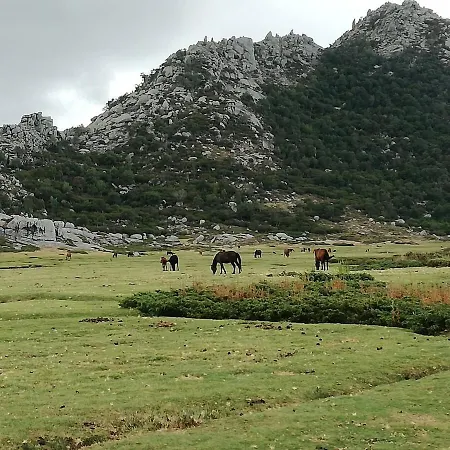 Corse Du Sud Les Pieds Dans L'eau !