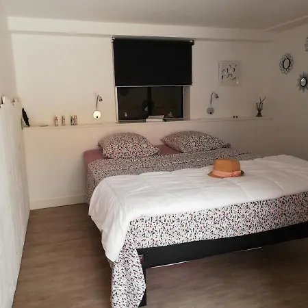 Corse Du Sud Les Pieds Dans L'eau ! Zonza