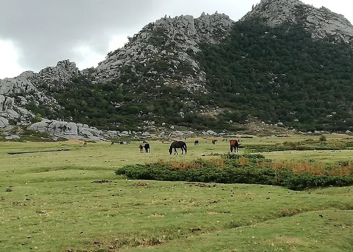 Corse Du Sud Les Pieds Dans L'eau !