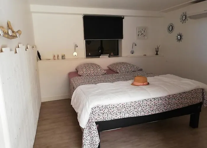 Corse Du Sud Les Pieds Dans L'eau ! Zonza