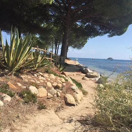 Corse Du Sud Les Pieds Dans L'eau ! * Zonza