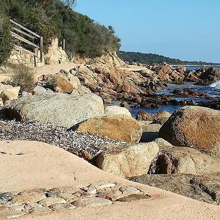 شقة Corse Du Sud Les Pieds Dans L'eau ! *