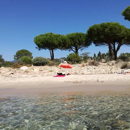 Corse Du Sud Les Pieds Dans L'eau ! Apartman *