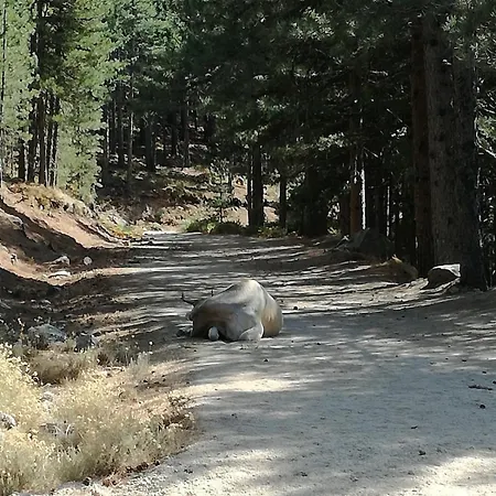 Corse Du Sud Les Pieds Dans L'eau ! * Zonza
