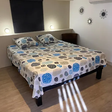 Corse Du Sud Les Pieds Dans L'eau ! شقة *