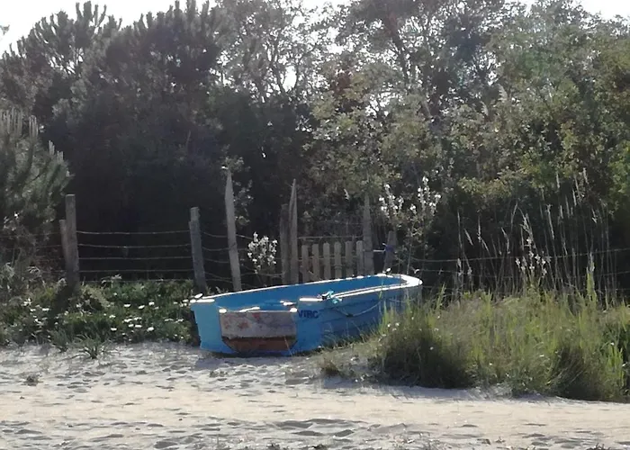 Apartment Corse Du Sud Les Pieds Dans L'eau !
