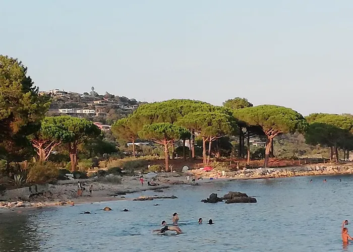 Corse Du Sud Les Pieds Dans L'eau ! 宗扎