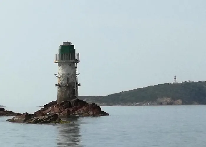 公寓 Corse Du Sud Les Pieds Dans L'eau !