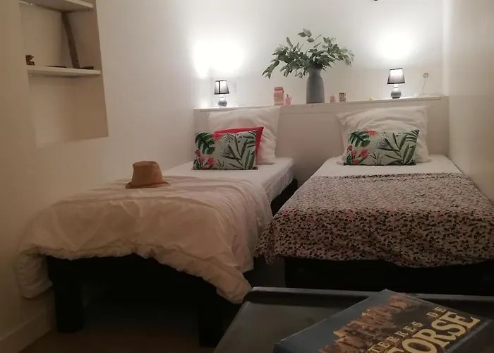 Corse Du Sud Les Pieds Dans L'eau ! Apartment *