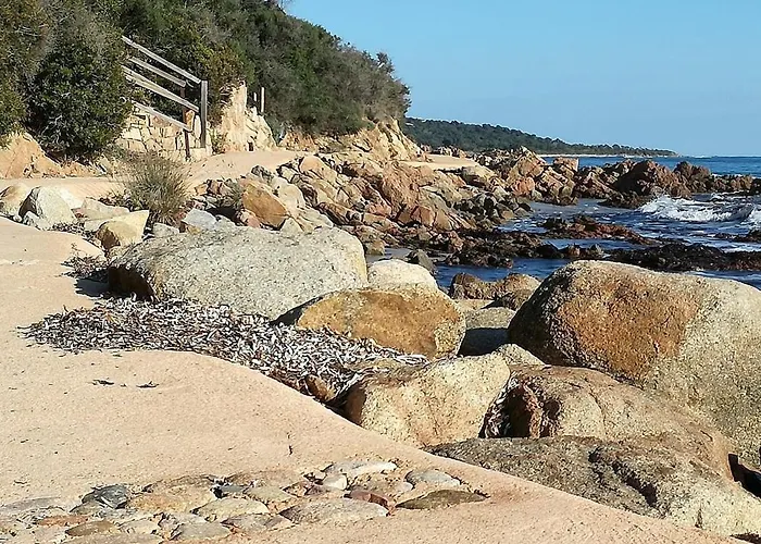 Apartment Corse Du Sud Les Pieds Dans L'eau ! *