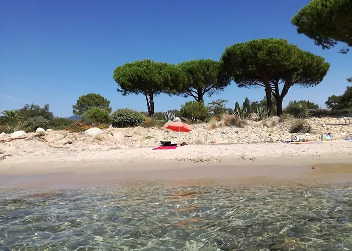 Corse Du Sud Les Pieds Dans L'eau ! Apartment *