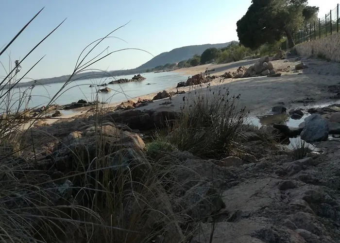 Corse Du Sud Les Pieds Dans L'eau ! 公寓 宗扎